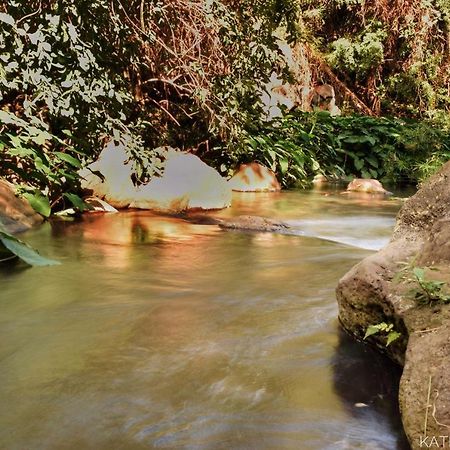 L'Abri-Cotier A 150M De La Plage De Boucan サンジルレバン エクステリア 写真