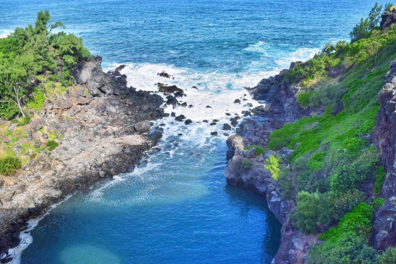 L'Abri-Cotier A 150M De La Plage De Boucan サンジルレバン エクステリア 写真