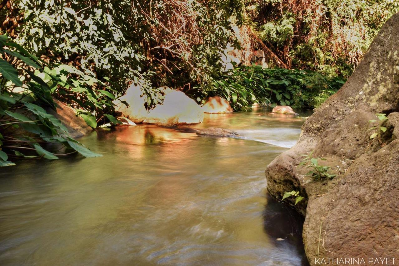 L'Abri-Cotier A 150M De La Plage De Boucan サンジルレバン エクステリア 写真